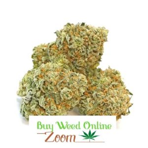 Blueberry kush strain | buy weed online | order cannabis online