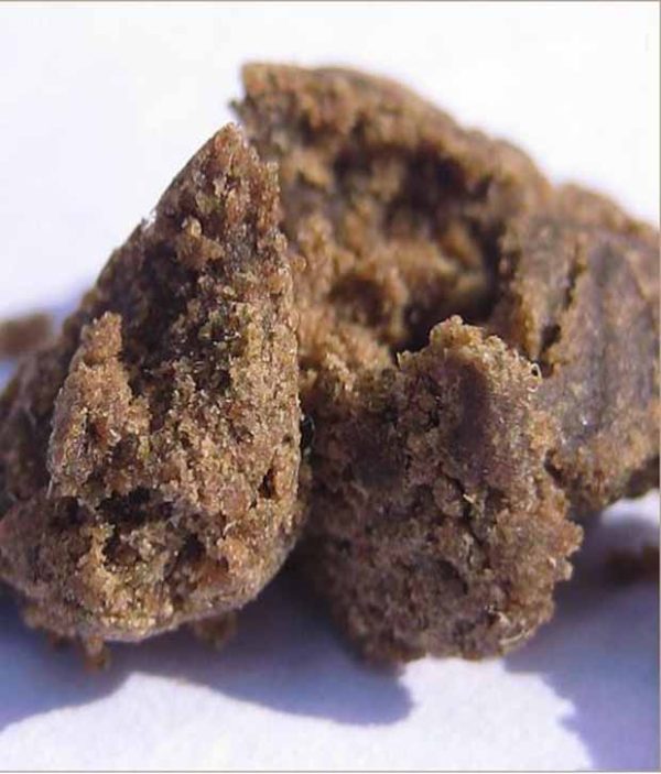 malana marijuana hash